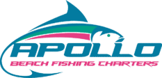 Apollo Beach Fishing Charters