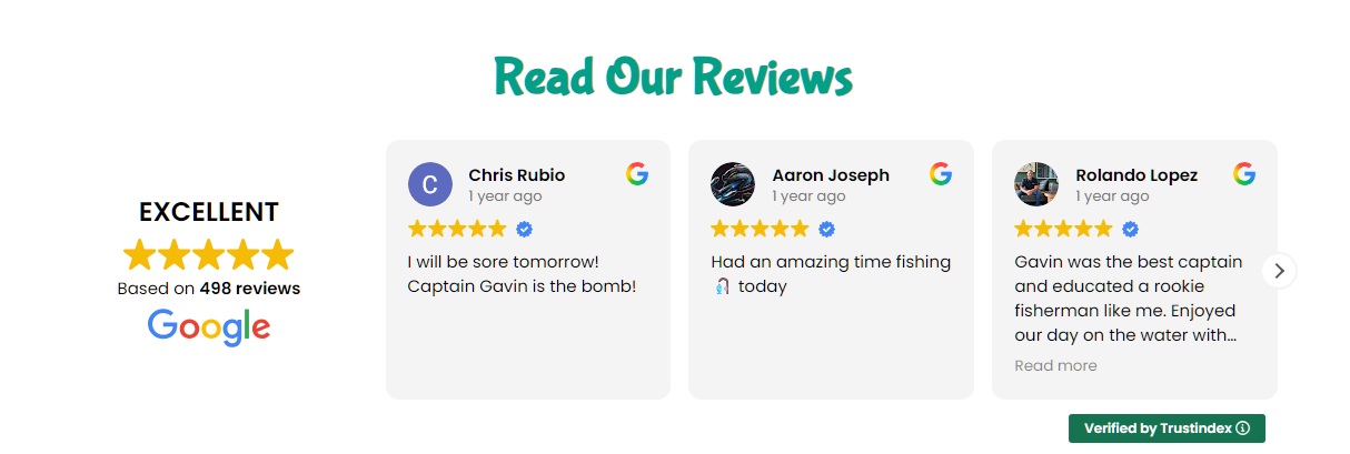 Google reviews for Apollo Beach Fishing Charters: Excellent, five stars, based on 498 reviews