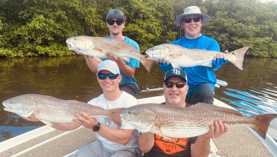 A fish landed on an Apollo Beach charter