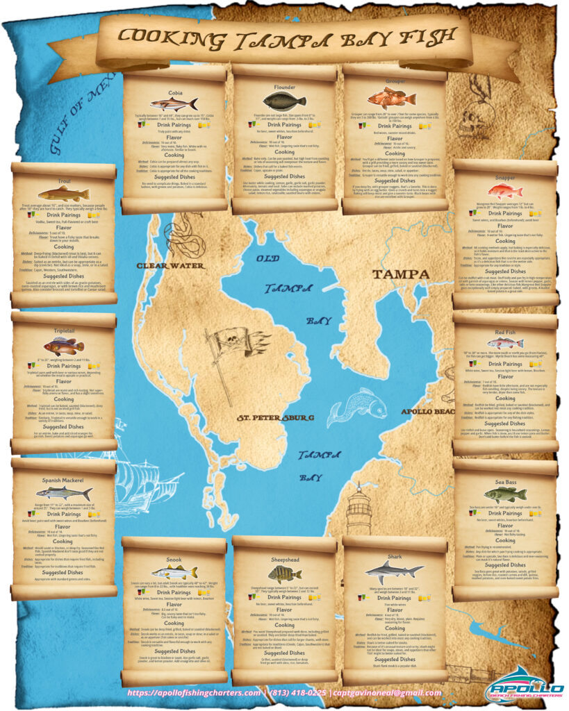 Illustrated treasure map showing how to cook inshore fish from Tampa Bay