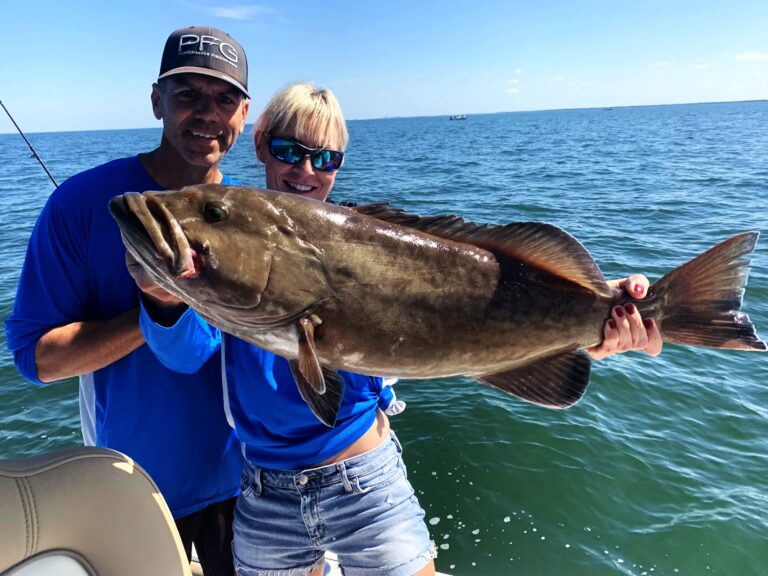 Two anglers holding a large gag grouper