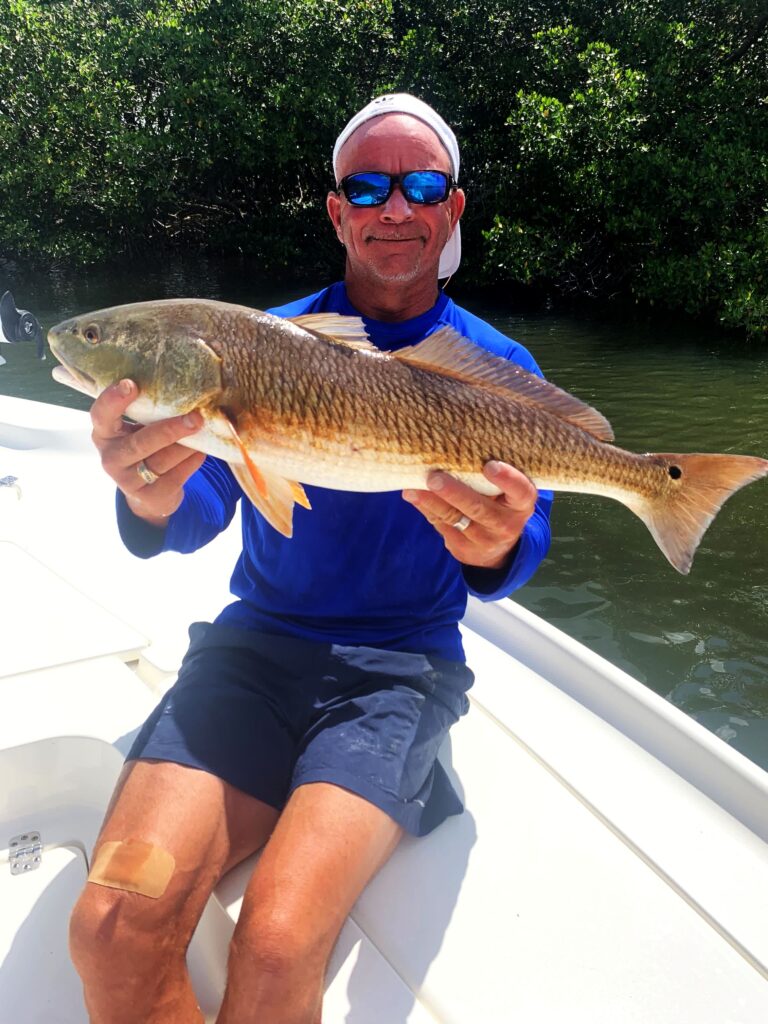 An angler holding a redfish against the mangroves