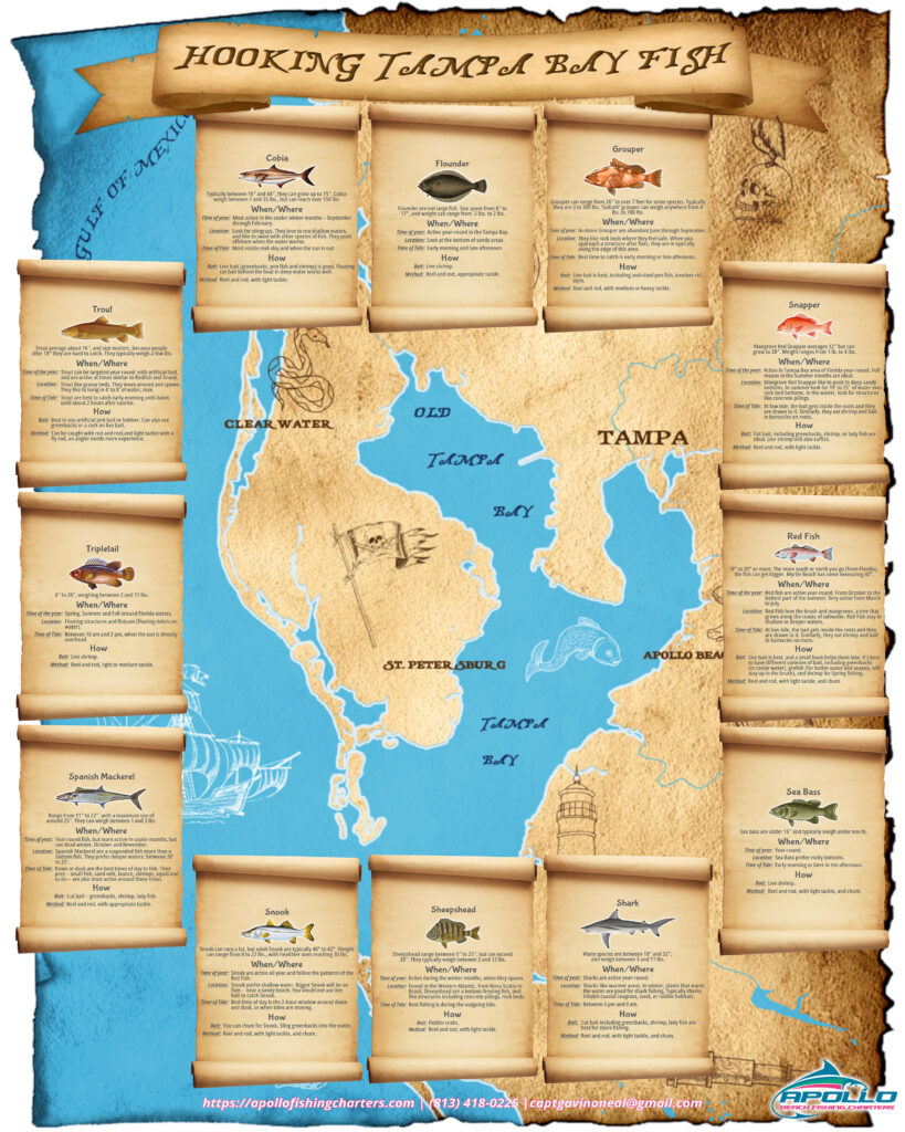 Illustrated treasure map showing where to hook inshore fish in Tampa Bay
